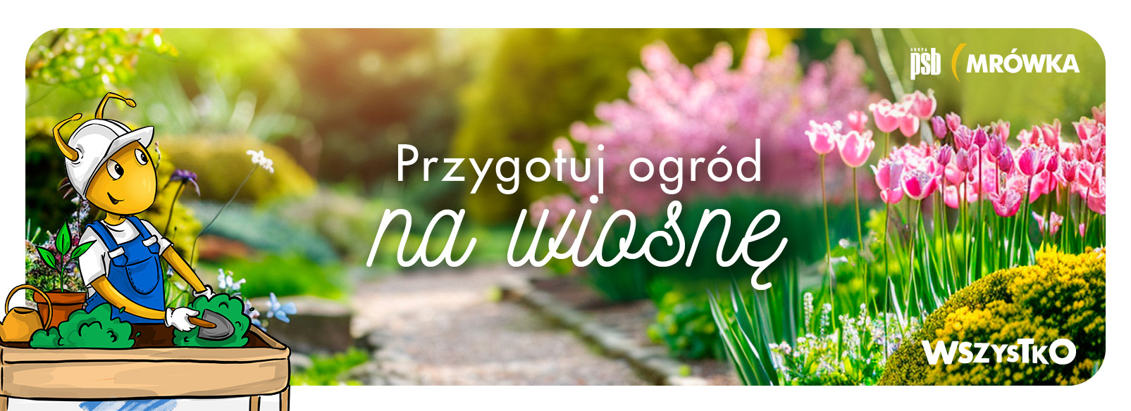 Grupa PSB mrowka PSB Mrówka Bystrzyca Kłodzka