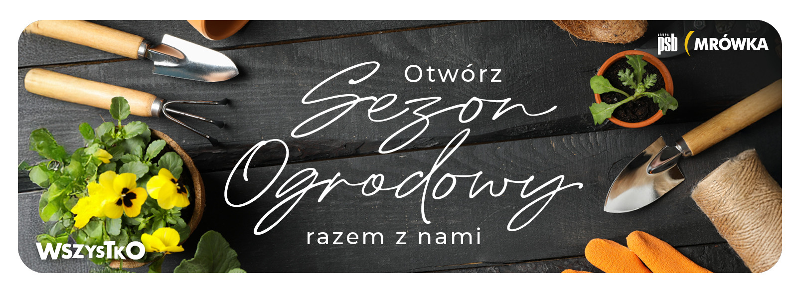 Grupa PSB mrowka PSB Mrówka Bystrzyca Kłodzka