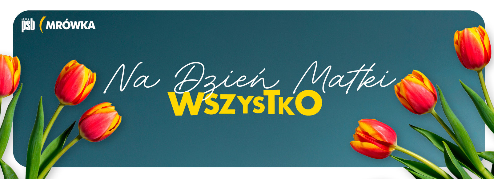 Grupa PSB mrowka PSB Mrówka Bystrzyca Kłodzka